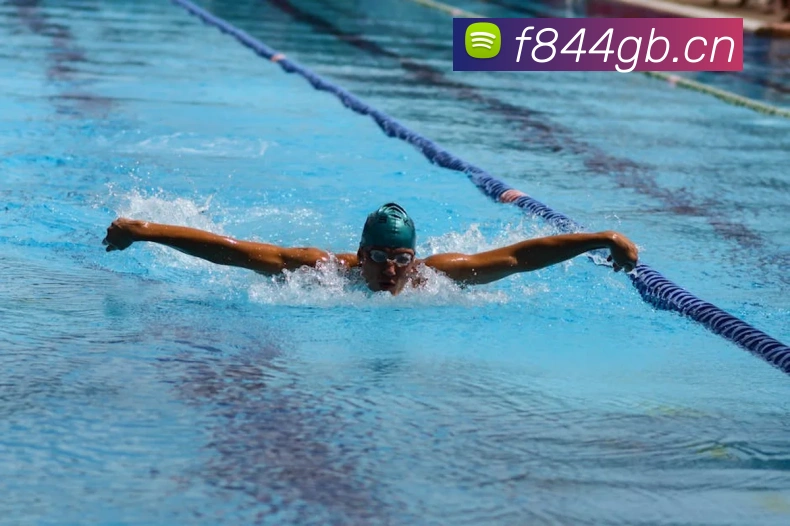 星空网最新地址品牌故事