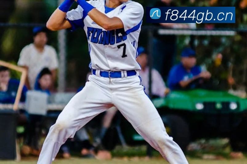 星空网最新地址服务体系